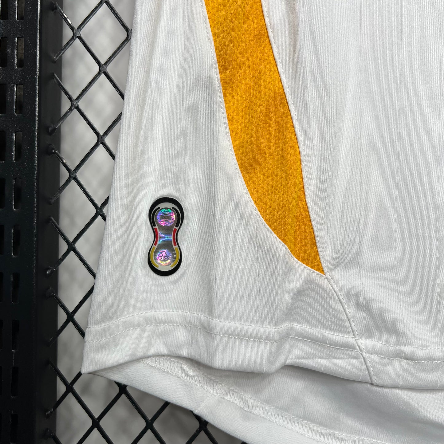 Germany 2006 Home