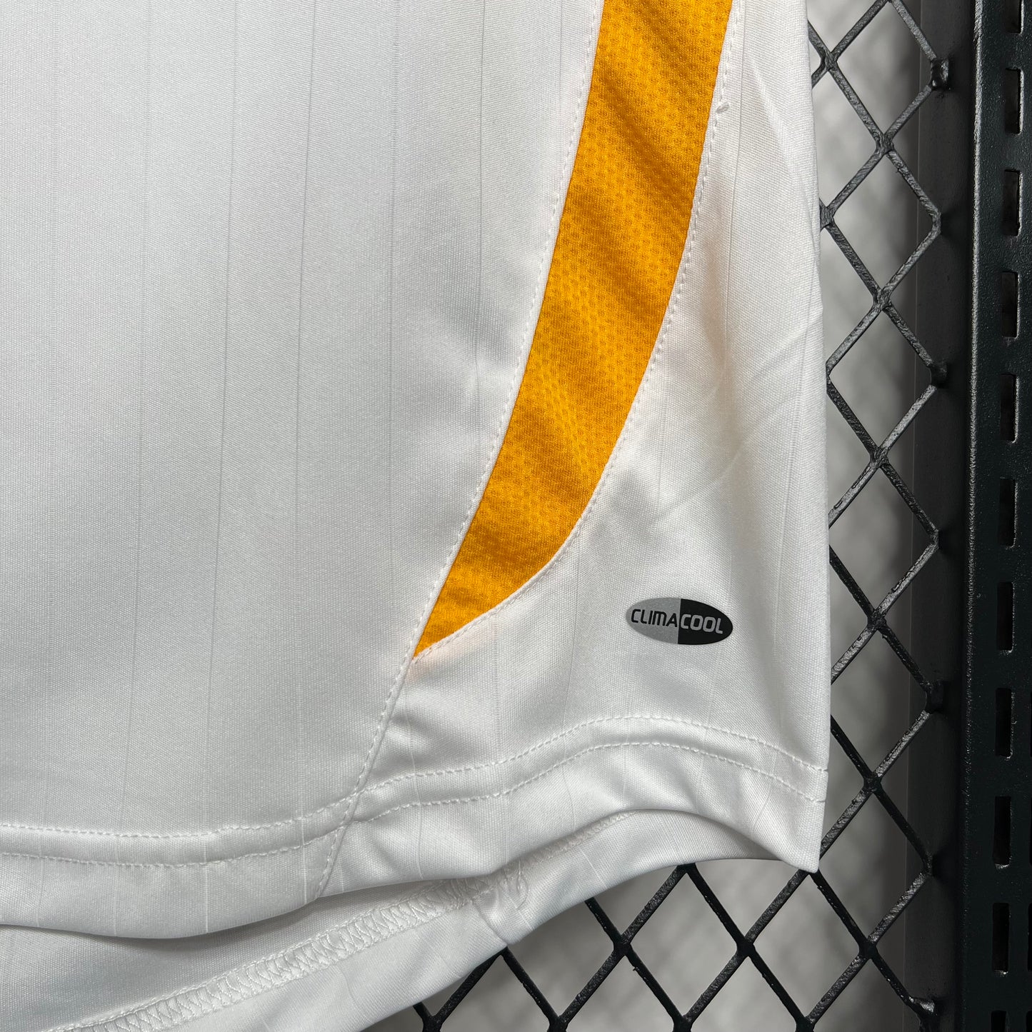 Germany 2006 Home
